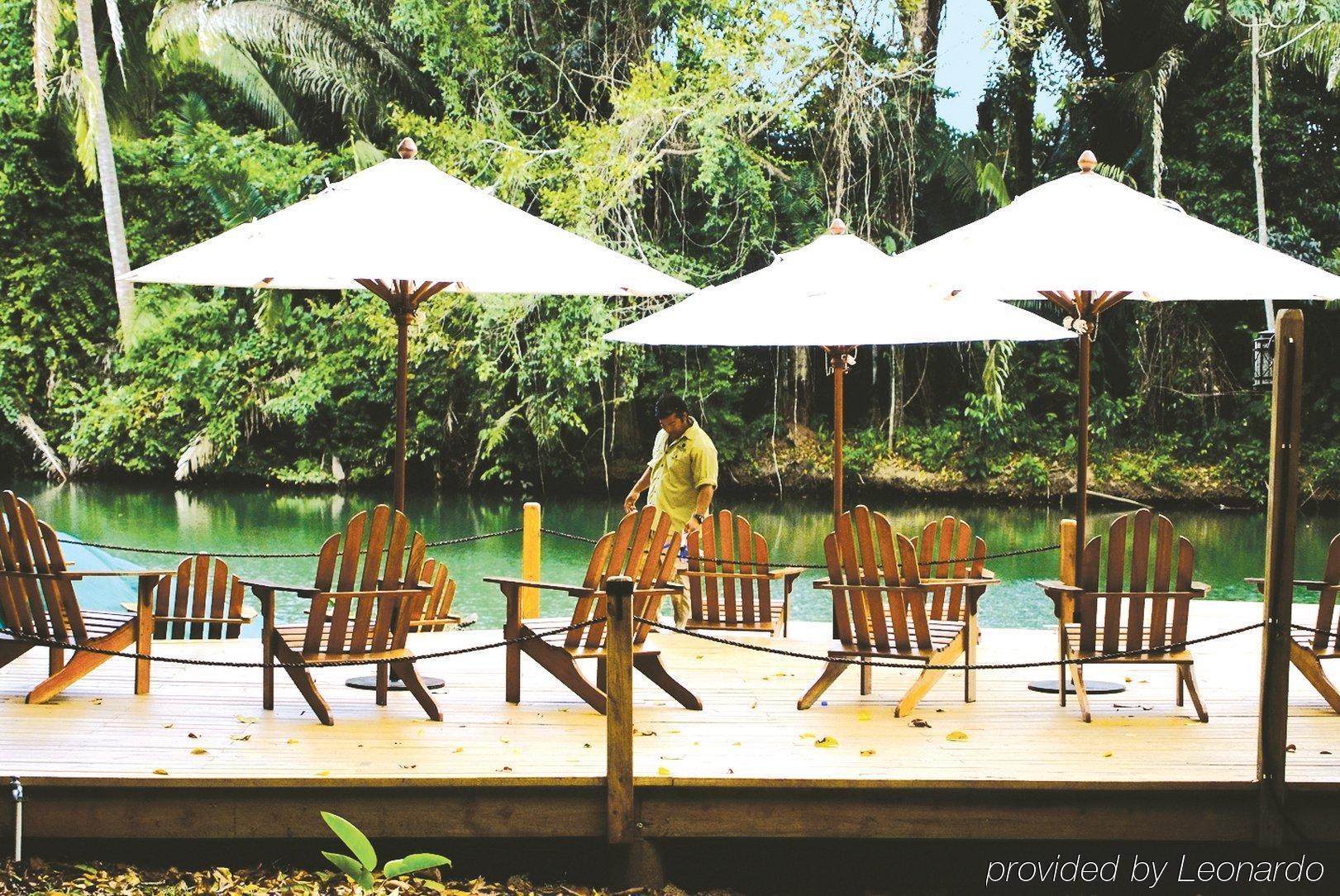 Machaca Hill Rainforest Canopy Lodge بونتا غوردا المظهر الخارجي الصورة