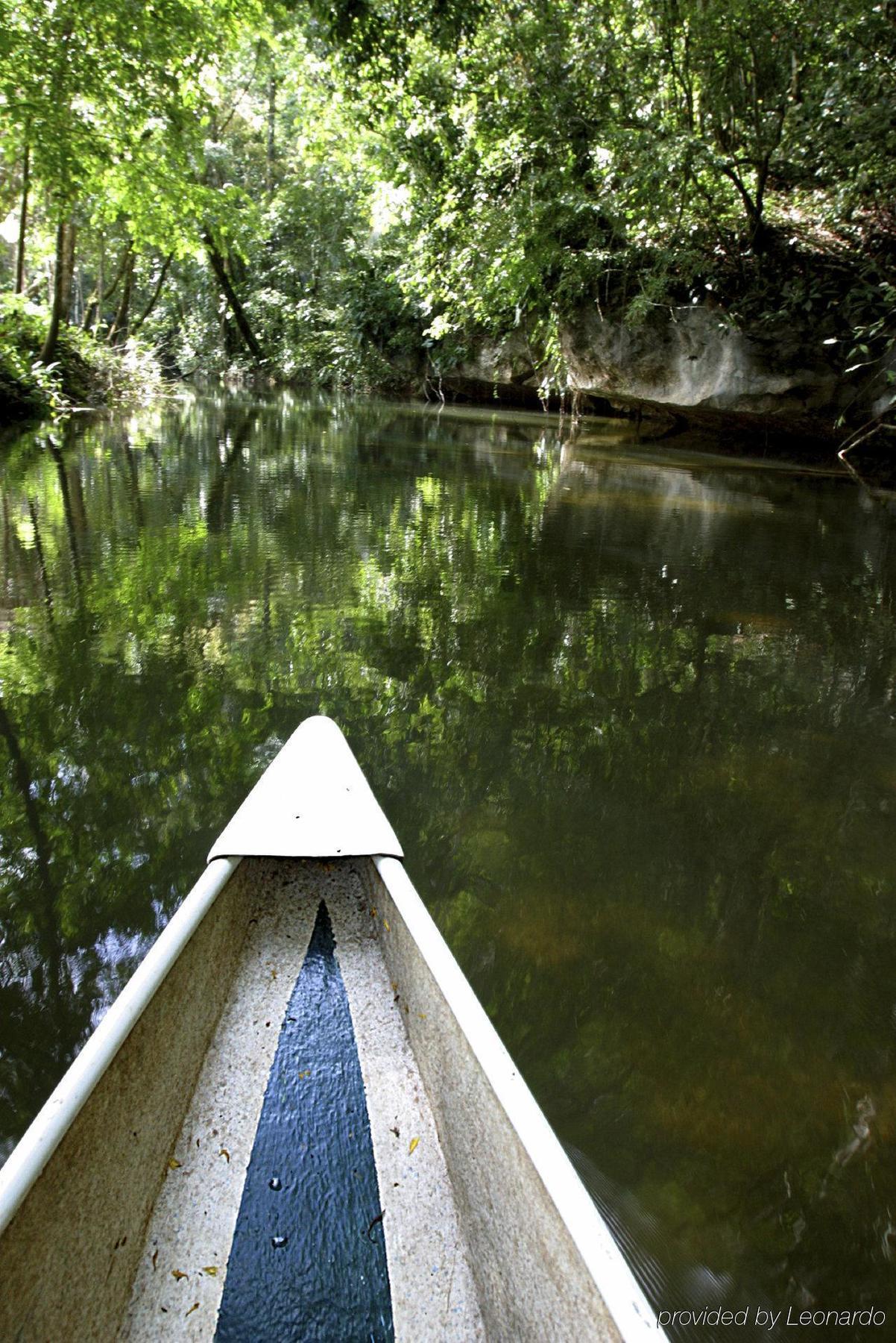 Machaca Hill Rainforest Canopy Lodge بونتا غوردا المظهر الخارجي الصورة