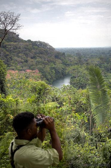 Machaca Hill Rainforest Canopy Lodge بونتا غوردا المظهر الخارجي الصورة