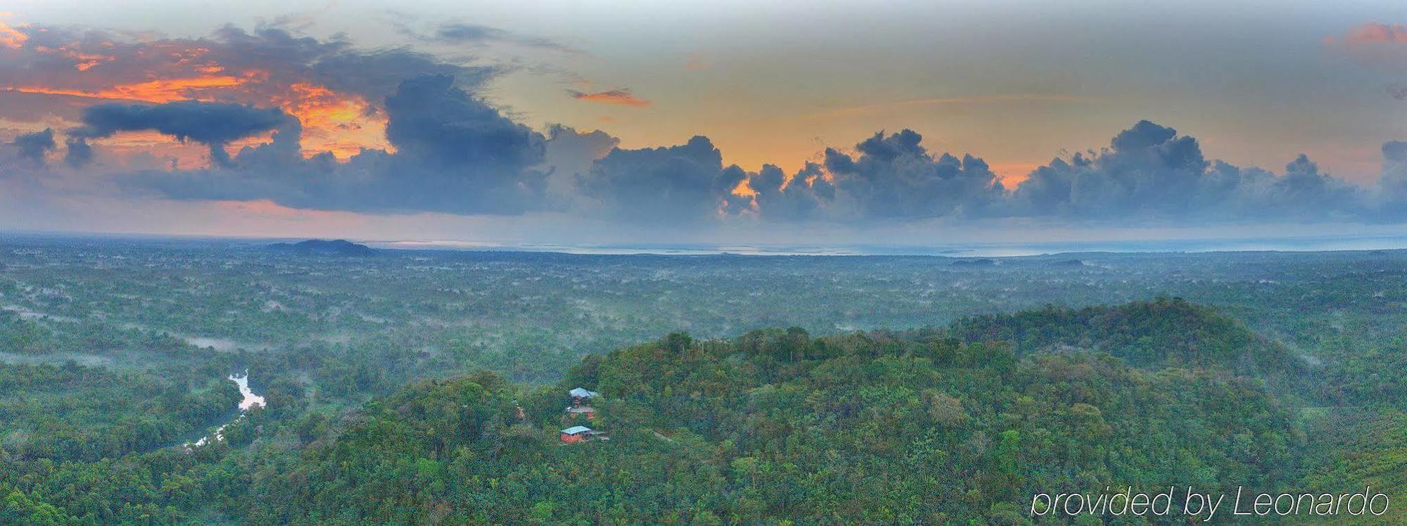 Machaca Hill Rainforest Canopy Lodge بونتا غوردا المظهر الخارجي الصورة